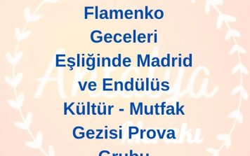 Flamenko Geceleri Eşliğinde Madrid ve Endülüs Prova Gezisi